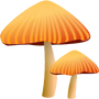Medicinal Mushrooms 