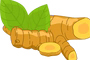 Turmeric Curcumin